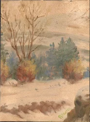 Mountain Shelter in Winter